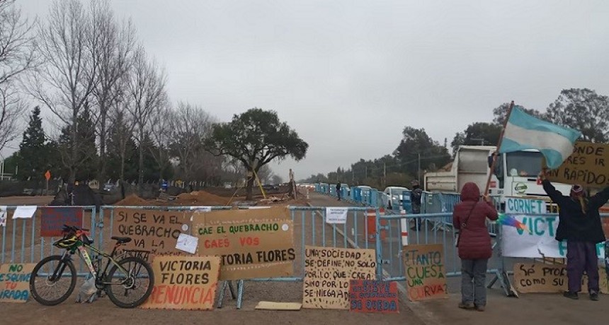 Córdoba: resisten que se quite un árbol de casi 300 años por la ampliación de una avenida