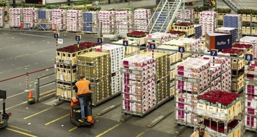 La economía creció 5% en mayo, por debajo de lo esperado