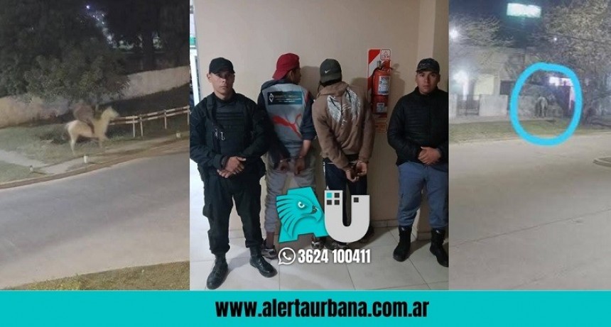 Sáenz Peña: Evitaron que dos adolescentes asalten a un hombre mayor 