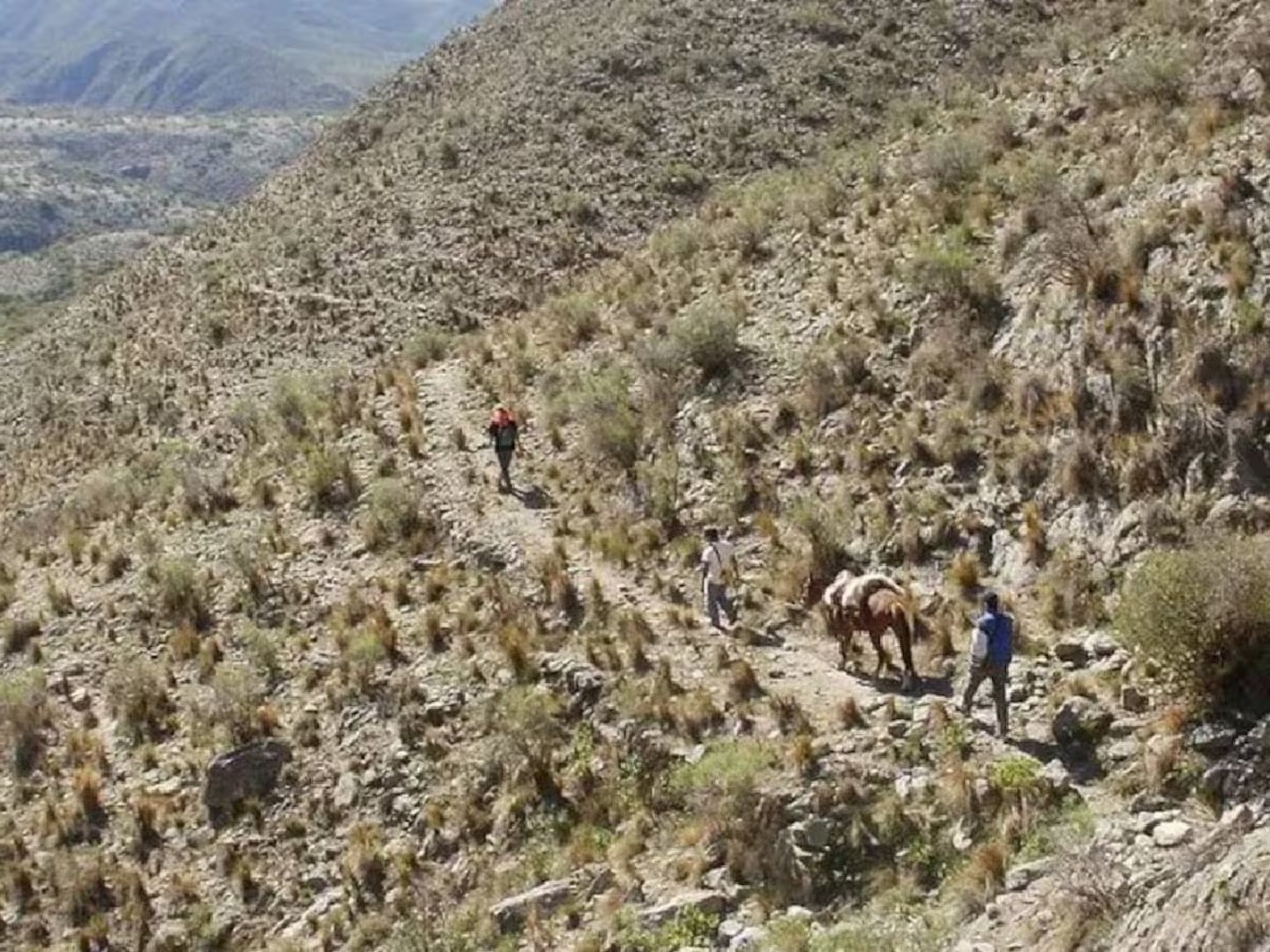 Hallaron con vida al niño de 11 años que había desaparecido en Catamarca 