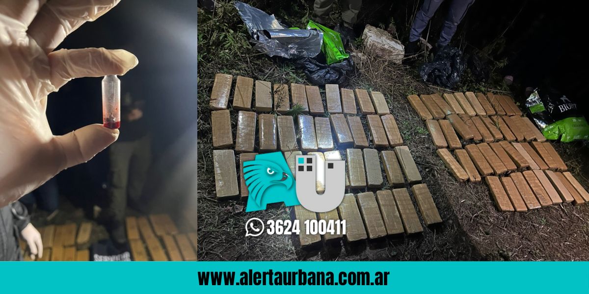 Secuestran más de 53 kilos de marihuana en zona rural de Resistencia 
