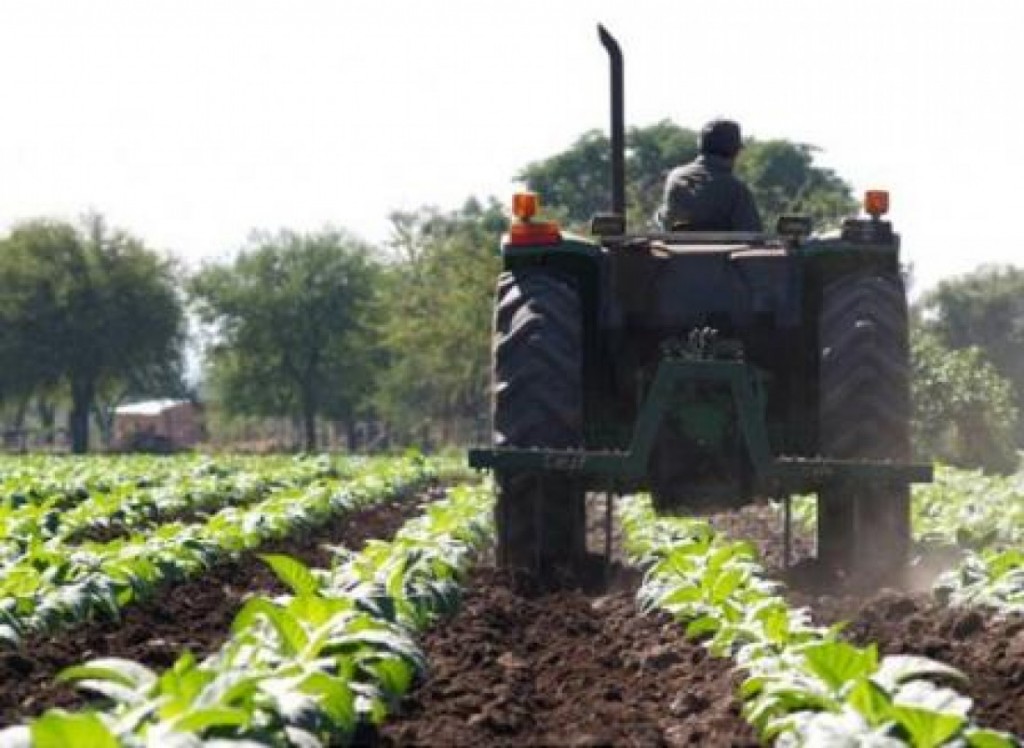 Trabajadores agrarios: cuánto cobran según el aumento de julio