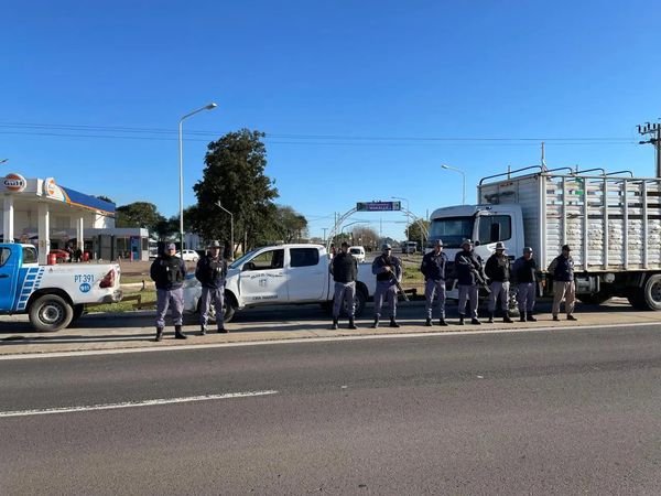 Municipalidad de Makallé: operativo para retirar animales sueltos en las calles