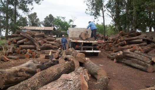 Malestar en el sector forestal y posibles manifestaciones en la provincia