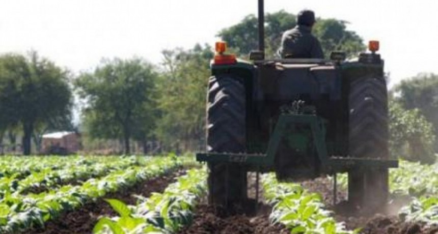 Trabajadores agrarios: cuánto cobran según el aumento de julio
