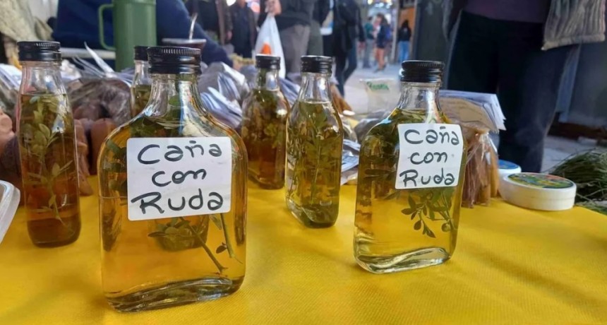 Caña con ruda: una tradición milenaria del 1º de agosto