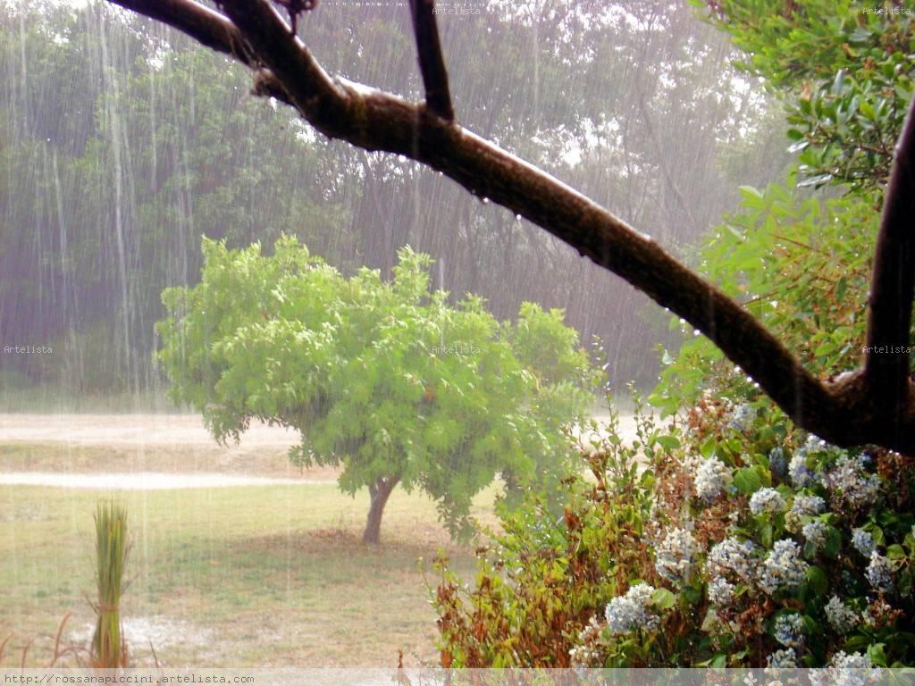 Alerta Amarilla por tormentas aisladas en Resistencia y Gral. San Martín 