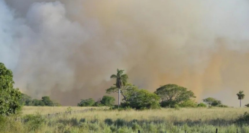 Cambios Climáticos: Hay 30 focos de incendios activos en todo el territorio provincial
