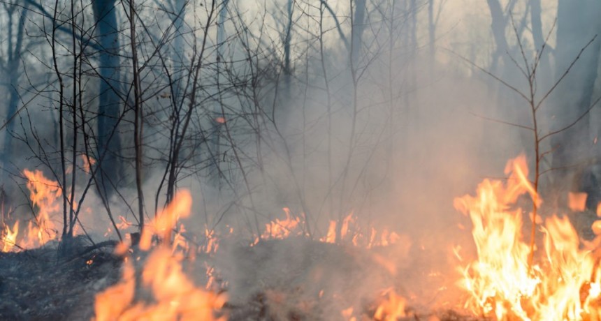 Continúa el foco de incendio en Corrientes 