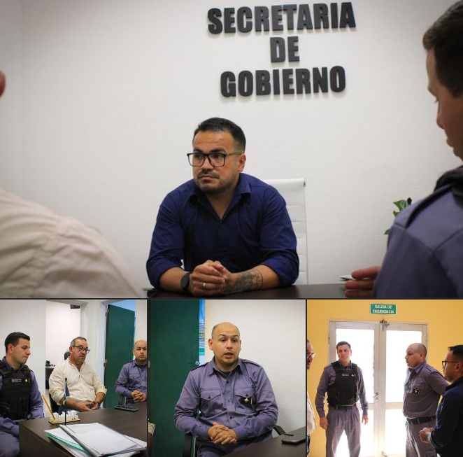 El municipio de Makallé trabaja en eliminar la presencia de caballos en la vía pública