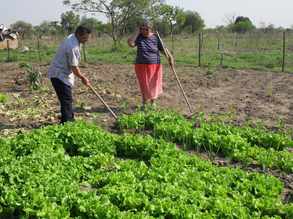 Pequeños productores se movilizan a la vera de la ruta por la falta de fondos de consorcios rurales