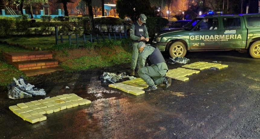 “Catarata de flores”: frenaron el paso de casi 100 kilos de marihuana en Misiones 