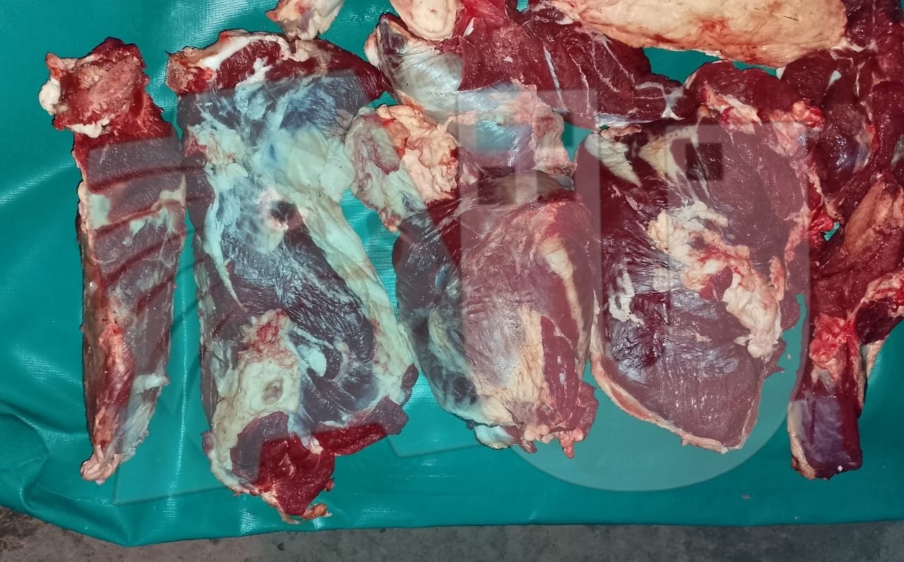 ¿Era para la venta? Incautaron cortes de carne transportados sin la cadena de frío  