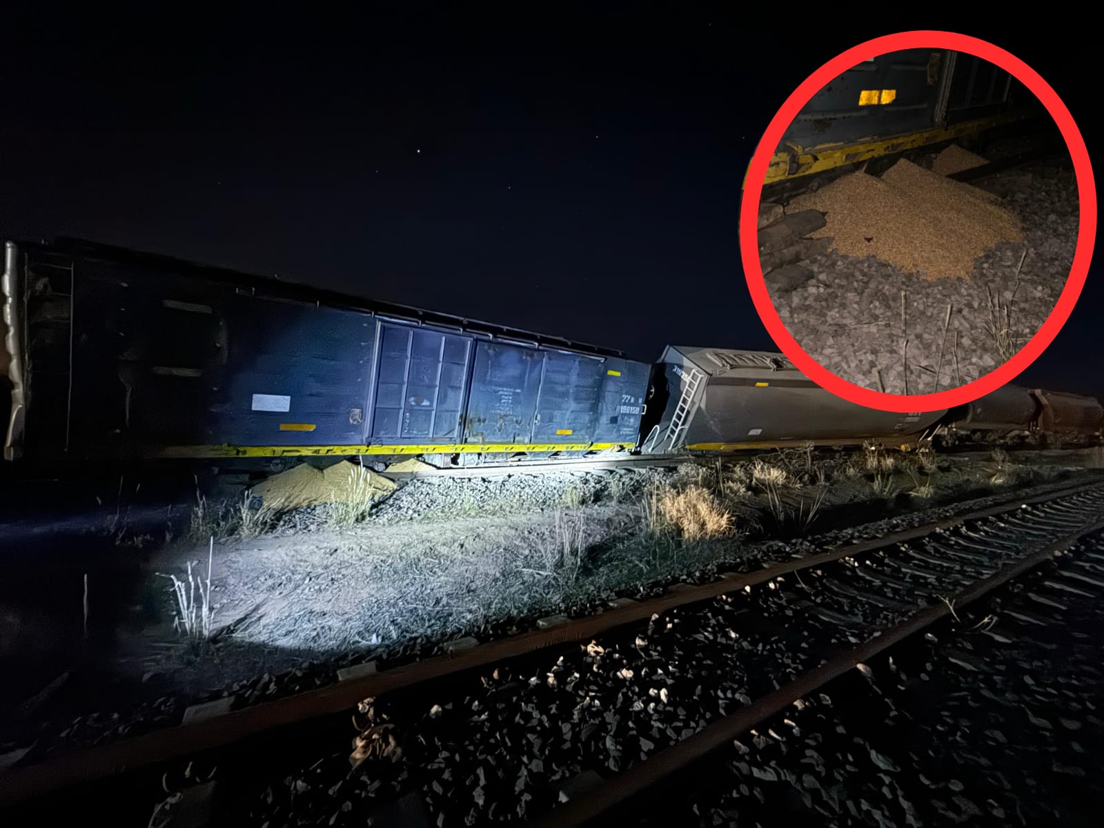 Descarrilan dos vagones del Belgrano Cargas