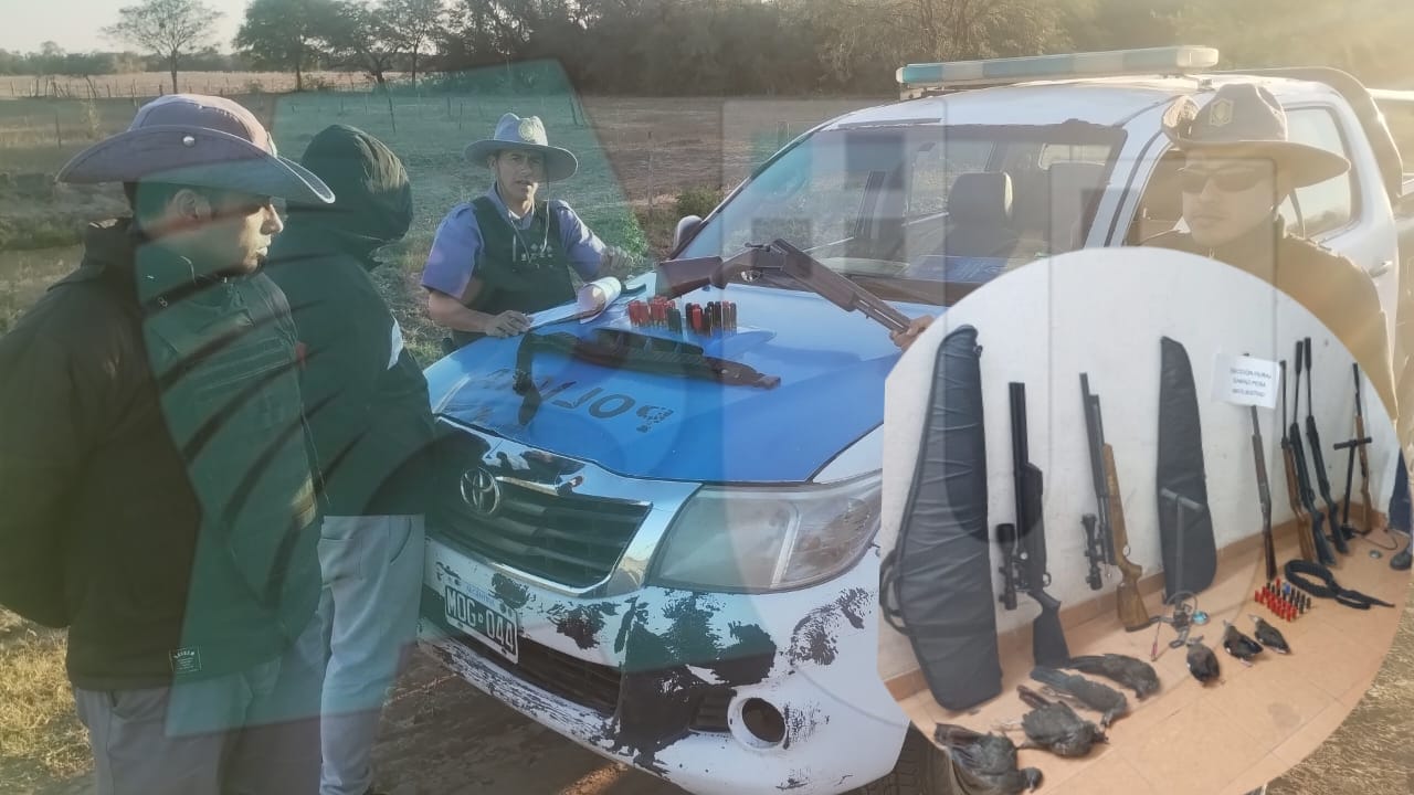 Machagai: demorados por transportar siete aves muertas 
