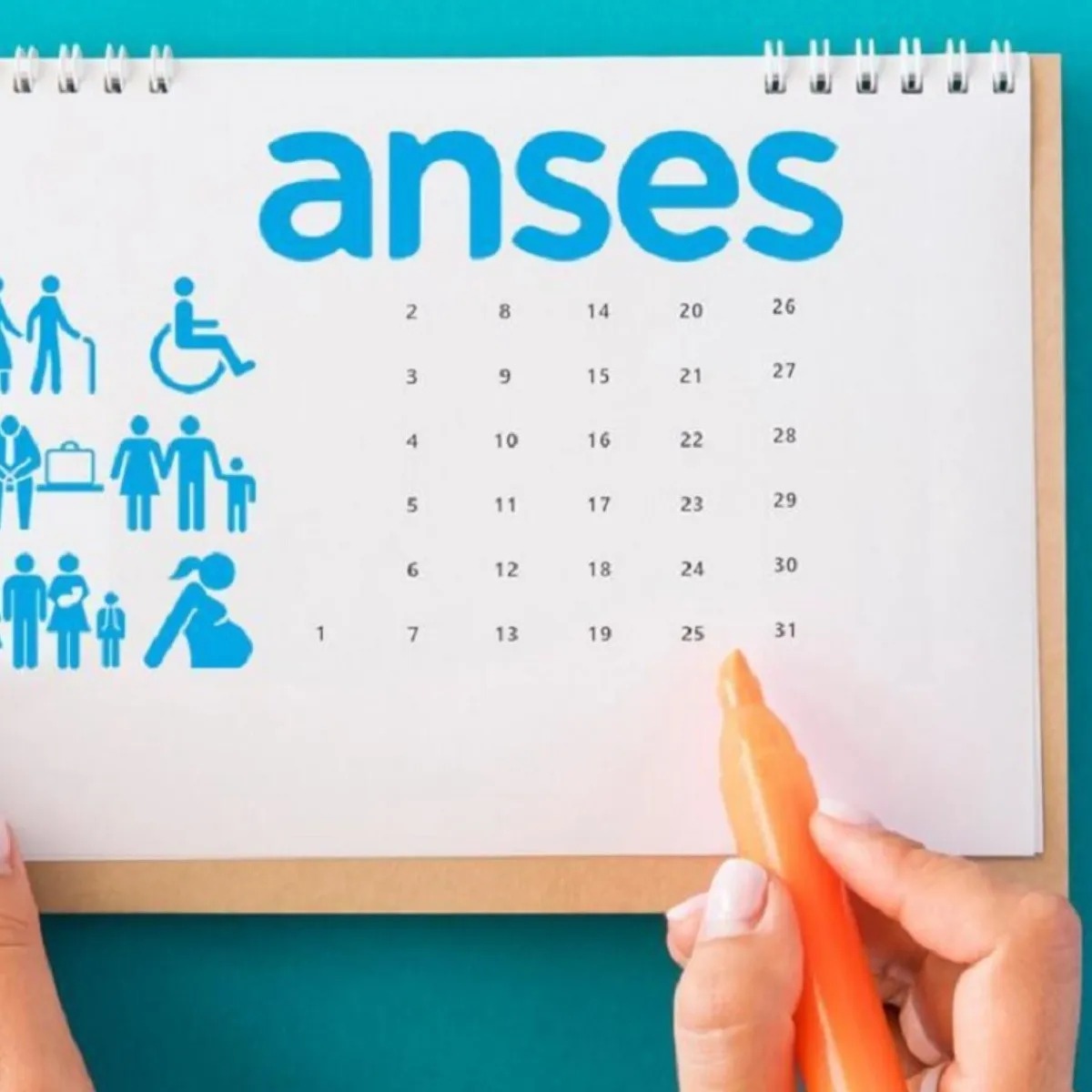 Calendario de Anses: quiénes cobran hoy martes 13 de agosto