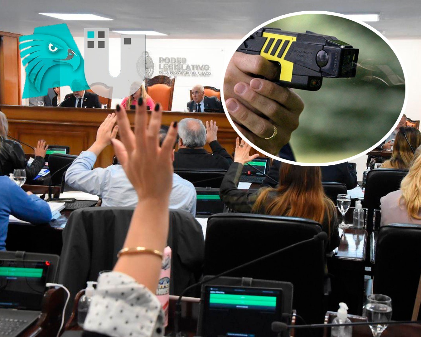 Diputados sesiona para aprobar el uso de las Taser en el Chaco