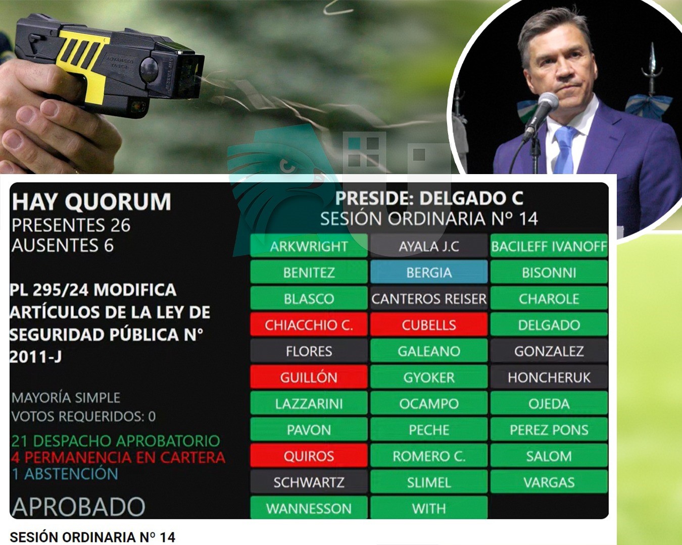 Pese a la negativa de los diputados de Capitanich mirá qué nueva arma podrá usar la Policía del Chaco