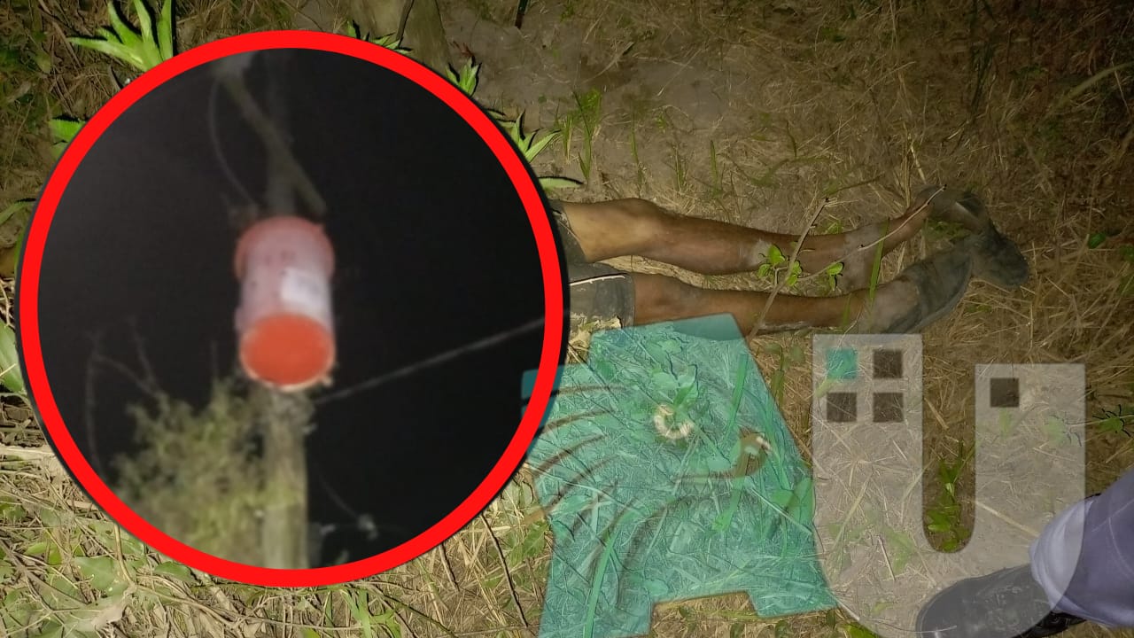 Trágico final para un robacables en la zona rural de Margarita Belén: murió electrocutado