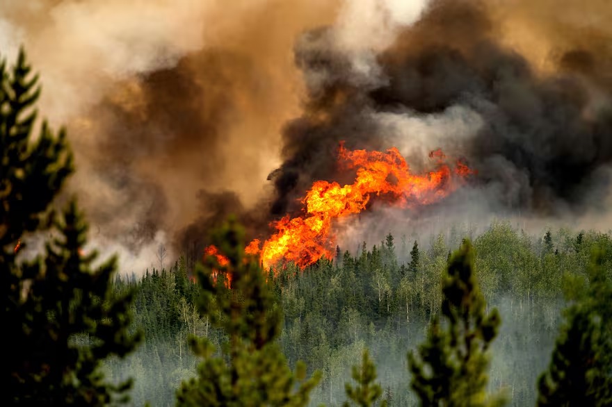 Hoy es el Día de la Prevención de los Incendios Forestales