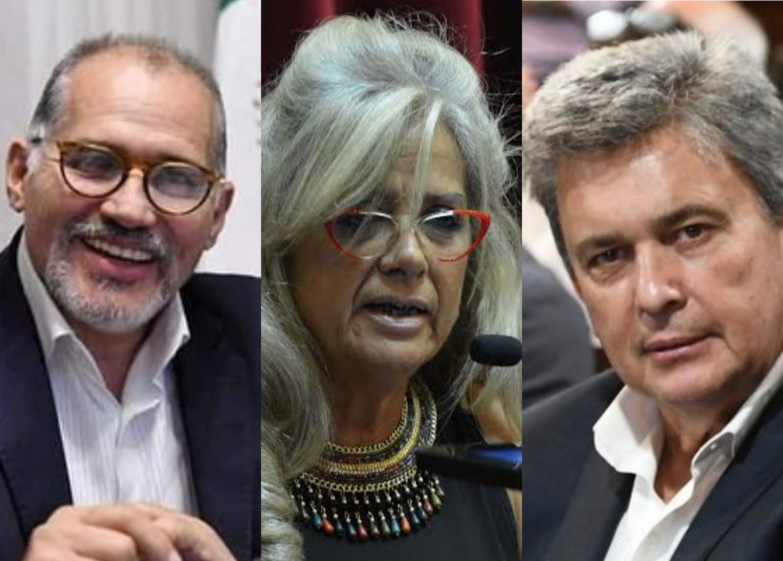 Sueldos de 9 millones de pesos: los tres senadores chaqueños que cobran 10 canastas básicas