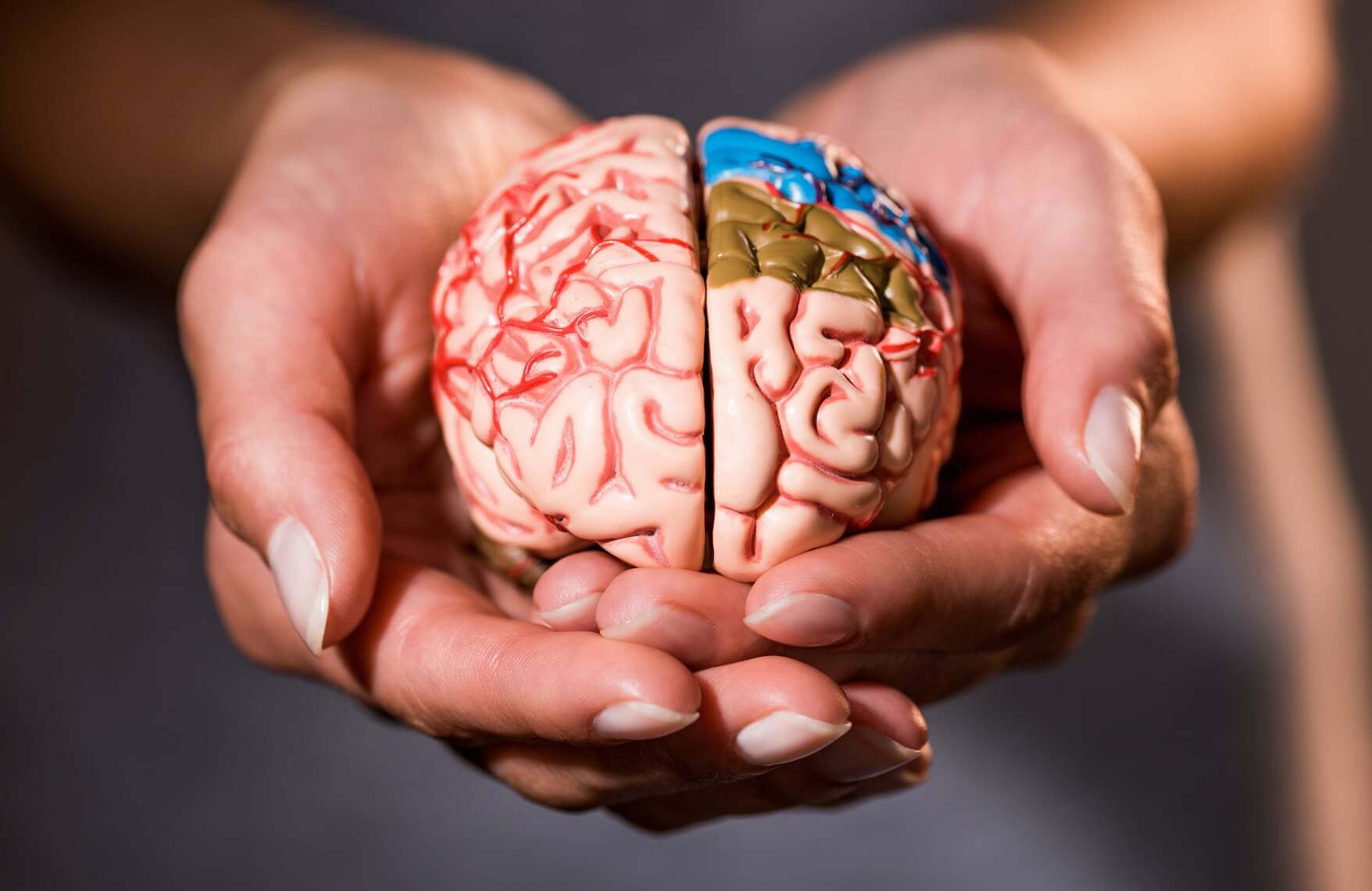 Dan a conocer los seis hábitos más nocivos para el cerebro: mirá la lista completa