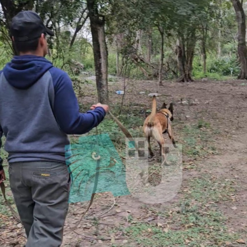 El perrito Taison ubicó el sitio exacto de una faena clandestina