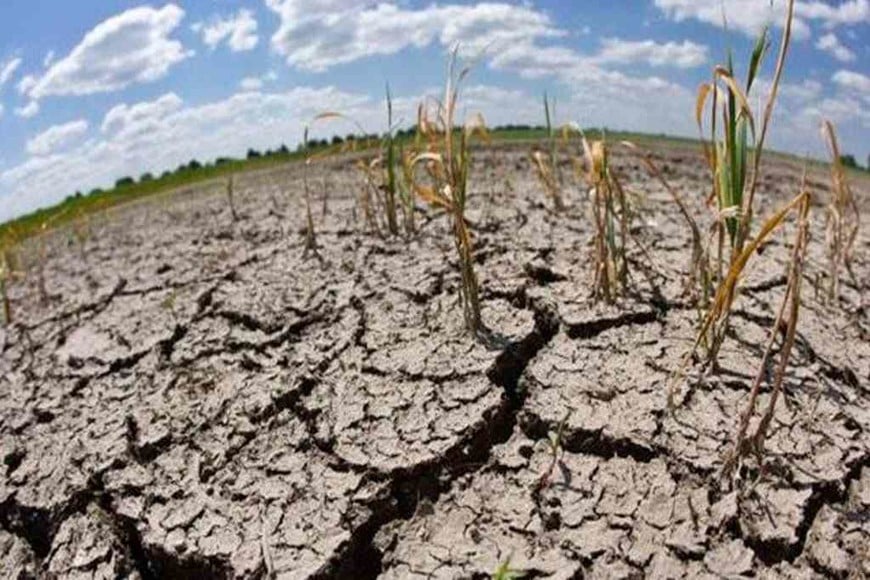 Nación homologó la emergencia agropecuaria en diez departamentos del Chaco
