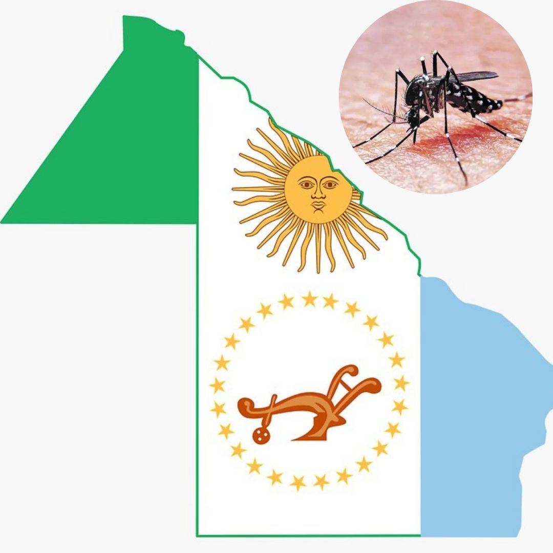 Dengue endémico en el Chaco: admiten que hay casos todo el año
