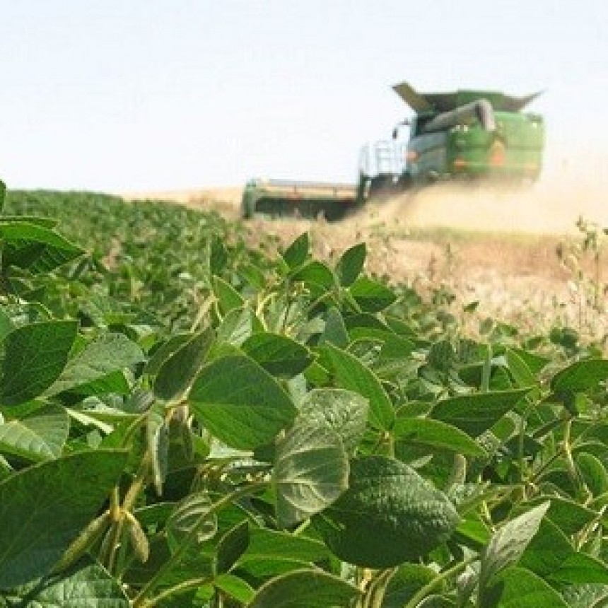 El agro alerta sobre las cuatro trabas que le impiden seguir creciendo