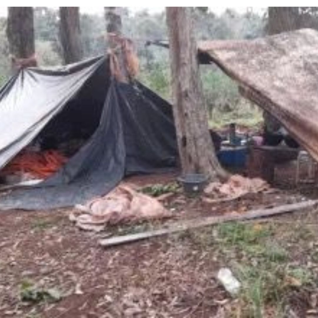 Descubren explotación laboral y trabajo infantil en Salta y Misiones
