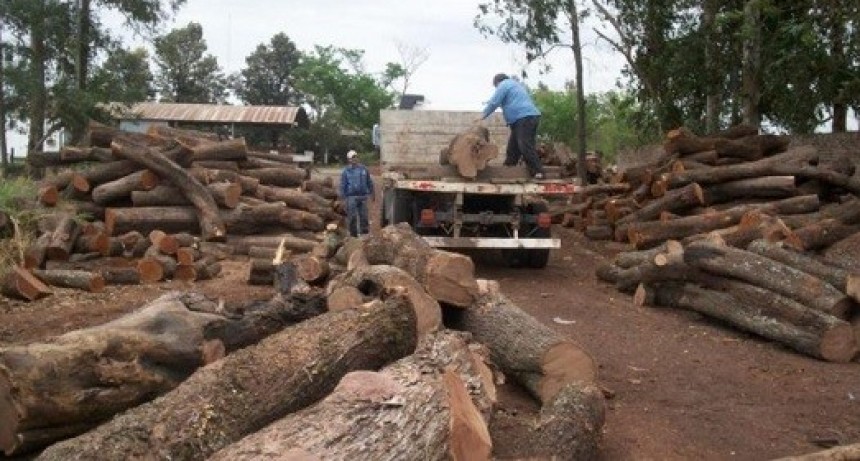 Malestar en el sector forestal y posibles manifestaciones en la provincia