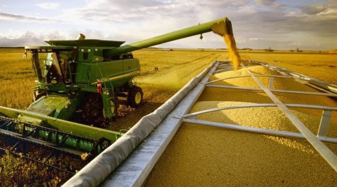 Julio marcó un récord en el ingreso de dólares del campo 