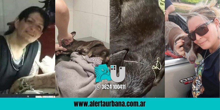 Grave: acusan a una tatuadora de comer perros en el barrio Don Santiago   
