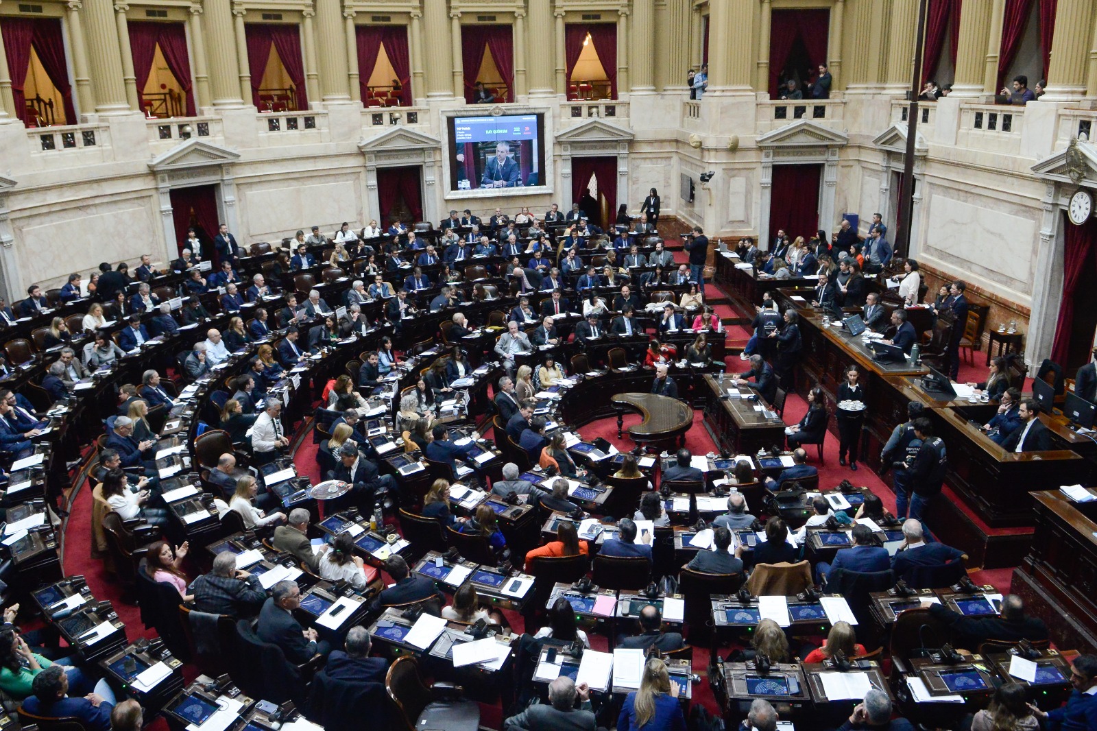 Diputados se enfrentan a la motosierra: debaten financiamiento para el Garrahan y universidades 