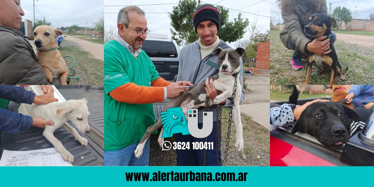 El municipio de Makallé completó otra jornada de vacunación de mascotas