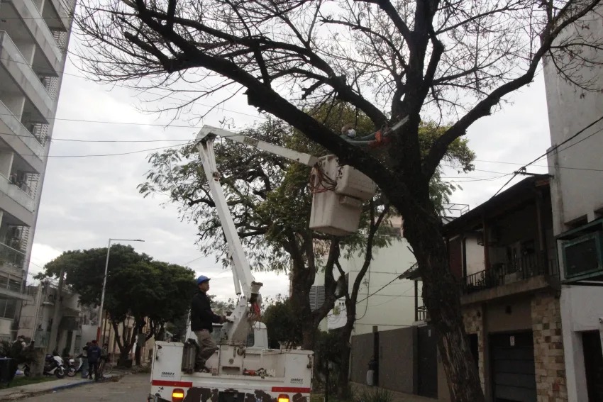 Operativo de poda en calle Córdoba: tránsito cortado y restricciones para estacionar