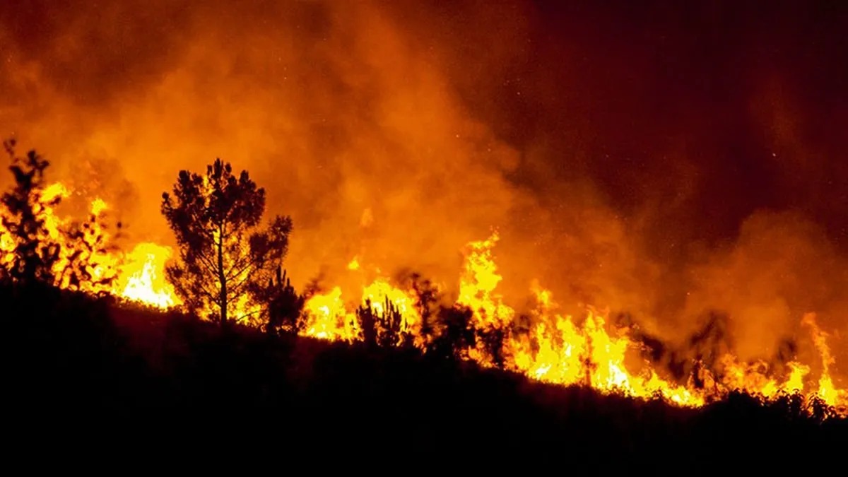 Hoy es el Día por la Prevención de los Incendios Forestales