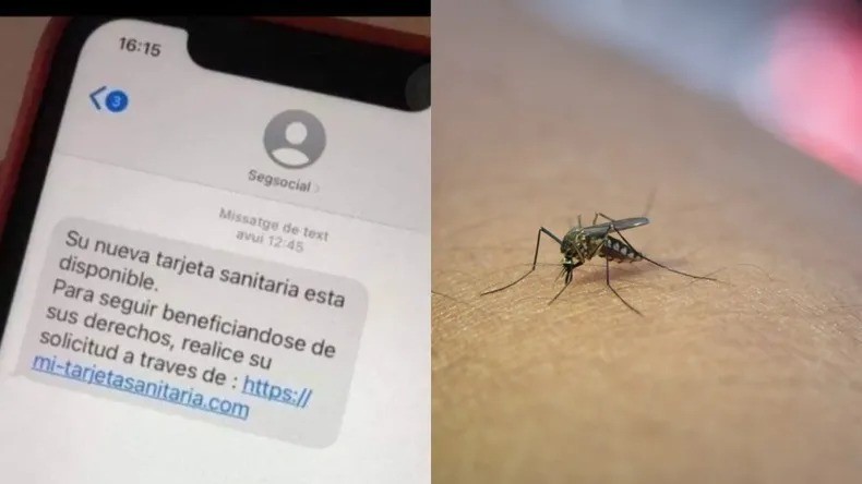 ¡Alerta, estafas¡ Llaman por supuestos turnos para vacunación invocando a Salud