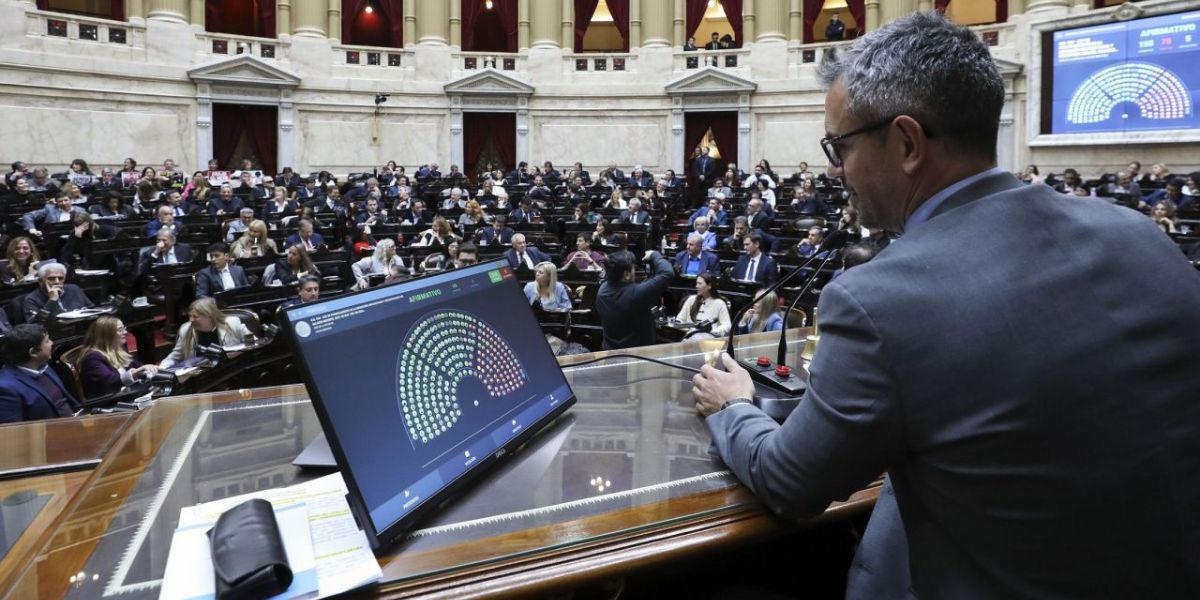Diputados rechazó el veto presidencial a la Ley de Emergencia en Discapacidad