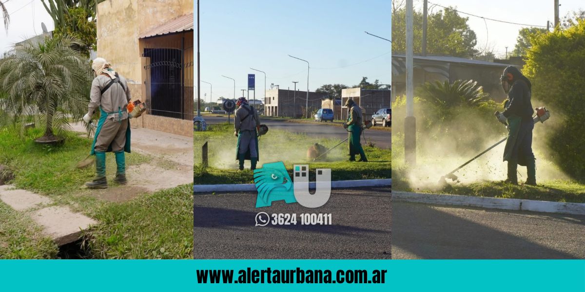 El municipio de Presidencia de la Plaza continúa con la limpieza urbana