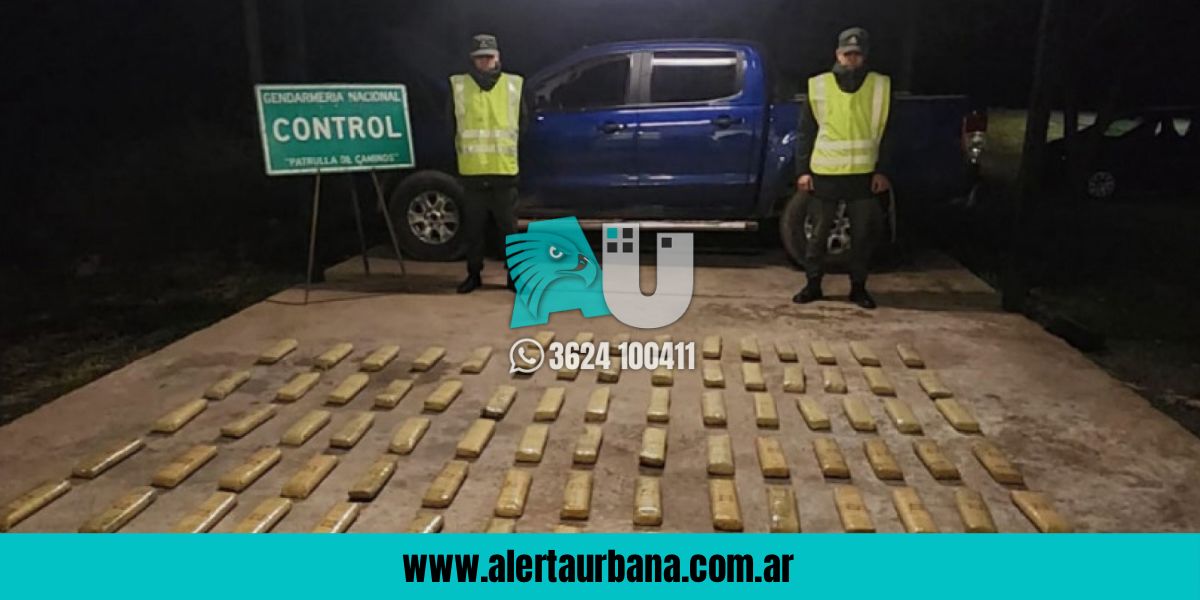 Incautan en la ruta 89 más de 50 kilos de hojas de coca transportadas por dos salteños