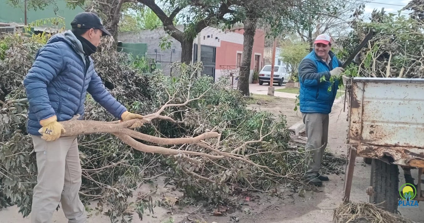 El municipio de Presidencia de la Plaza avanza con operativos de recolección de ramas