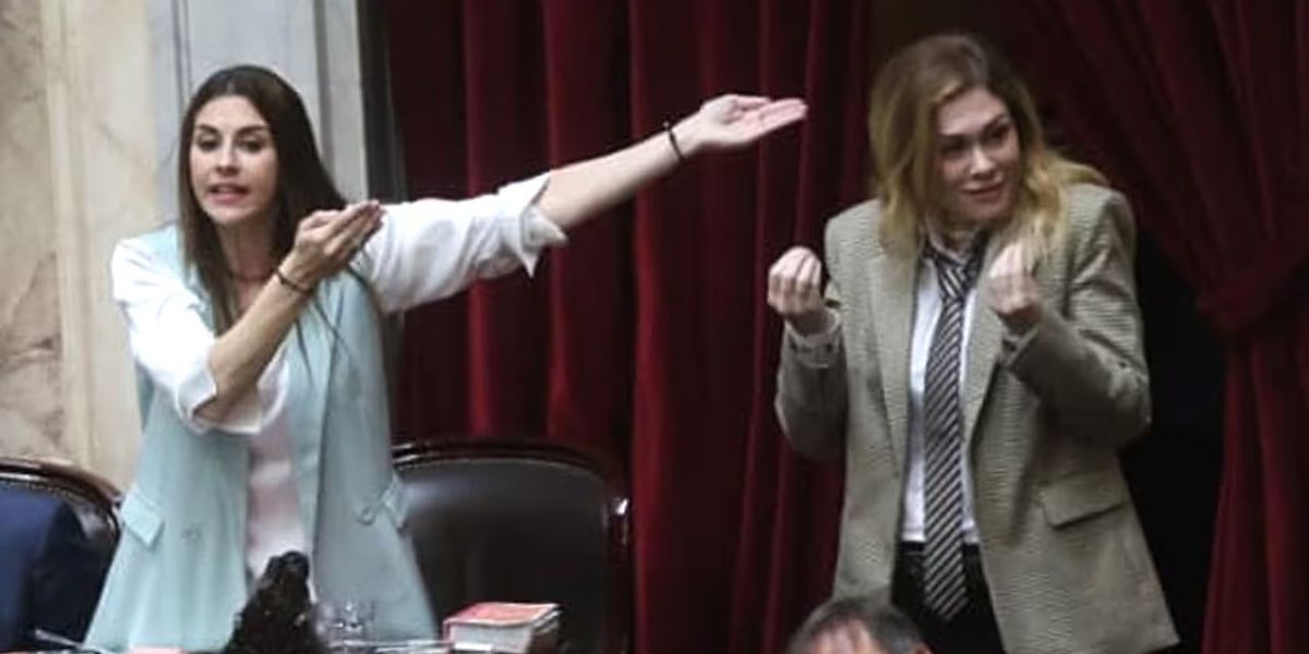 Dignos representantes del pueblo: el ridículo momento de Lemoine y Pagano en Diputados