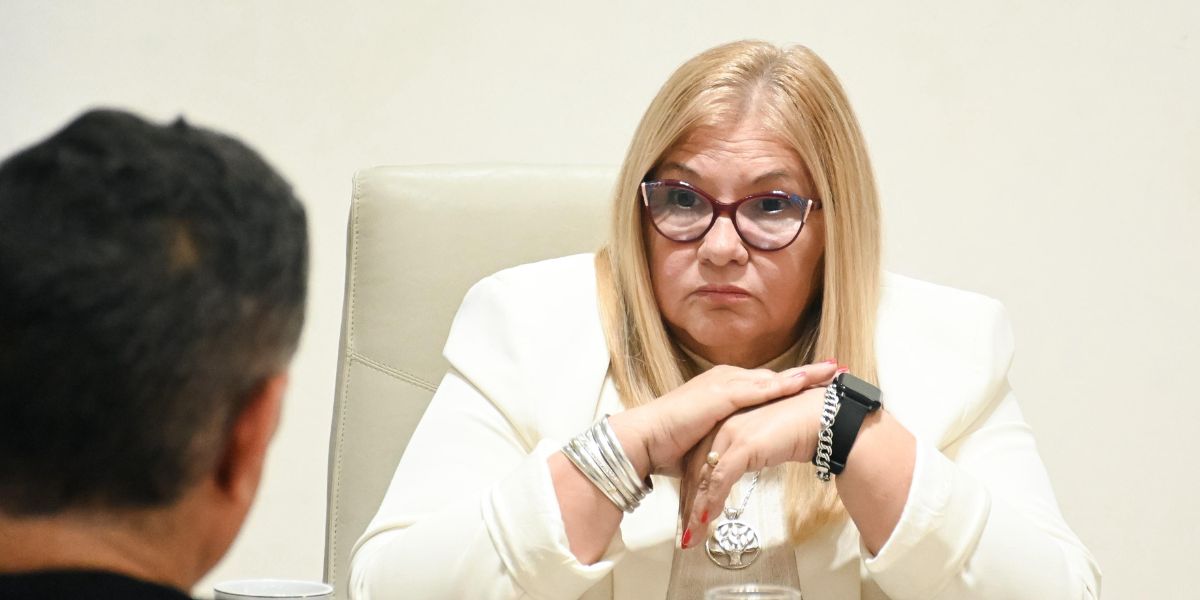 La presidente de la Legislatura recibió a representantes de las Cajas Profesionales del Chaco