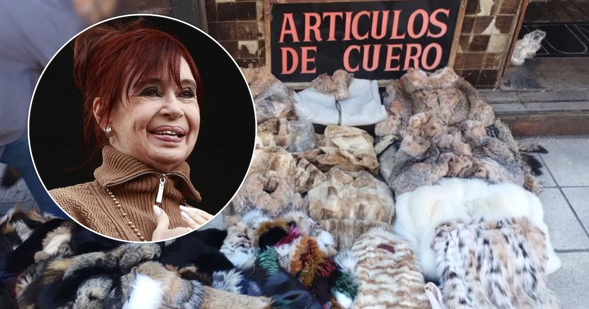 Incautaron prendas de animales en extinción en un local donde Cristina compraba camperas de cuero