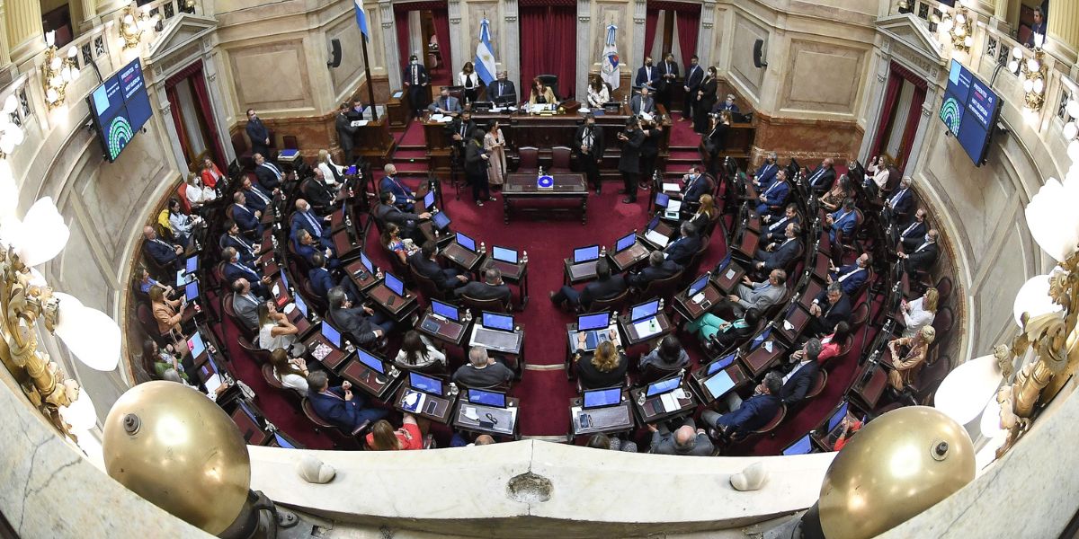 Emergencia en Discapacidad y regulación de DNU, el próximo debate en el Senado