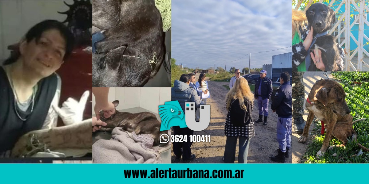 ÚLTIMO MOMENTO: Allanan en el Don Santiago la vivienda denunciada por gravísimo maltrato animal