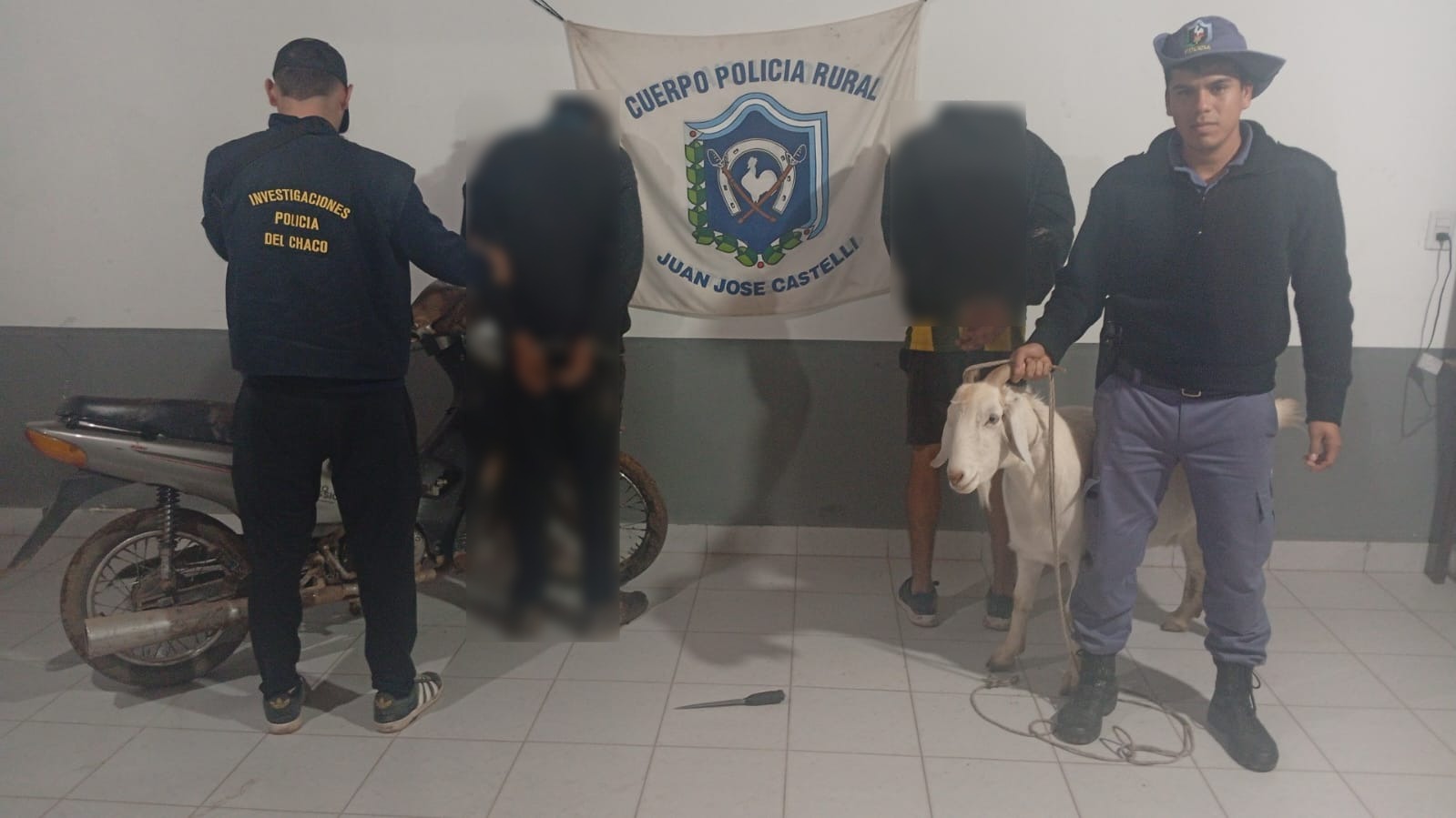 Chivo se salvó del cuchillo sobre la hora en Castelli: hay dos cuatreros detenidos