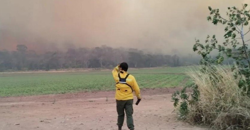 Córdoba, Jujuy y Salta: más de 4.000 hectáreas en llamas y alerta por nuevos focos